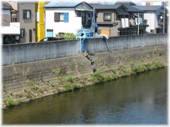 高橋中（たかばしなか）ポンプ場の画像2