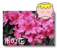 志木の花・ツツジ