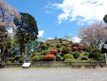 田子山富士塚