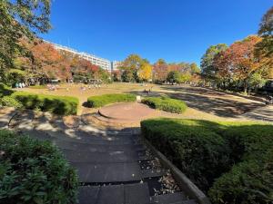 写真：館近隣公園の広場