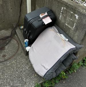 適切に処理がされていない粗大ごみの写真