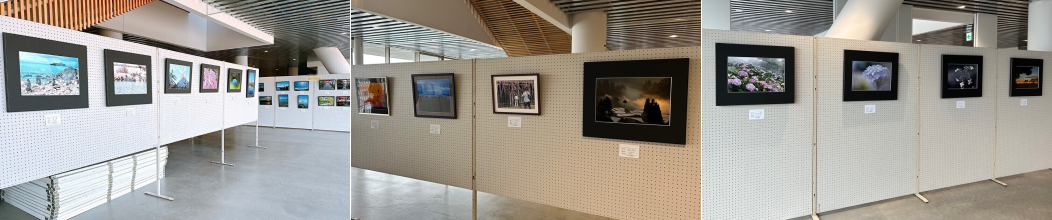 市展の様子（写真）