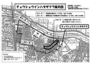 令和7年ハタザクラ案内図
