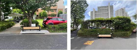 設置したベンチの様子