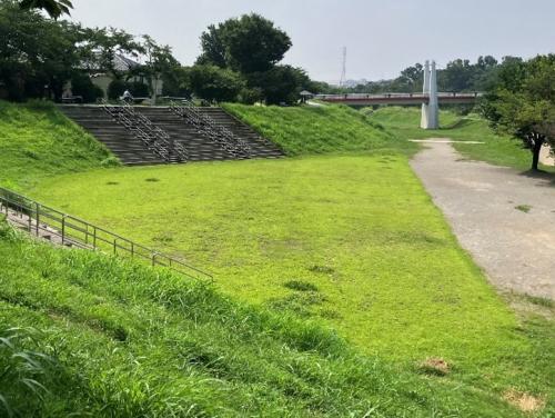 令和6年度の芝生化実施状況