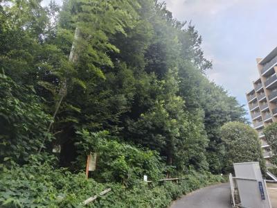 柏町ふれあいの森写真