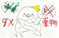 啓発物資イラスト（志木高6）