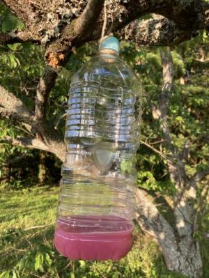 スズメバチトラップ写真①