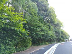 西原ふれあい第三公園