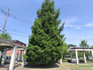 西原ふれあい第二公園